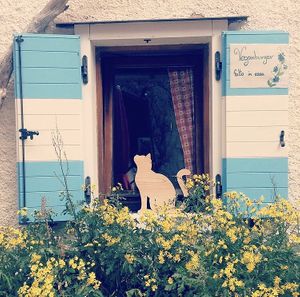 Terrasse at Rifugio Vajolet in Vigo Di Fassa