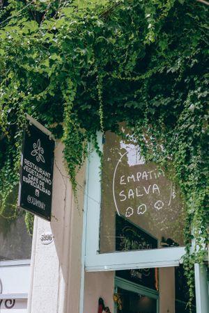 Empathy save us  at Casa Munay in Buenos Aires