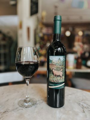 organics wines at Casa Munay in Buenos Aires