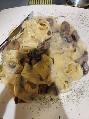 Papardelle with mushrooms at Cavoli Nostri in Naples