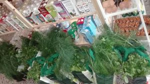 Cestas de verduras ECOLÓGICAS cosechadas el mismo día!! :-) at Supermercado Ecológico Comunidad Verde in Malaga