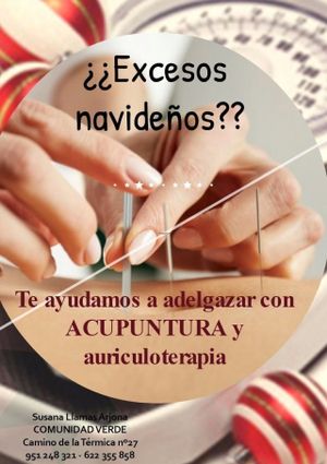 Acupuntura estética y auriculoterapia at Supermercado Ecológico Comunidad Verde in Malaga