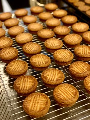 Vegan Brittany at Green Bakery in Taipei