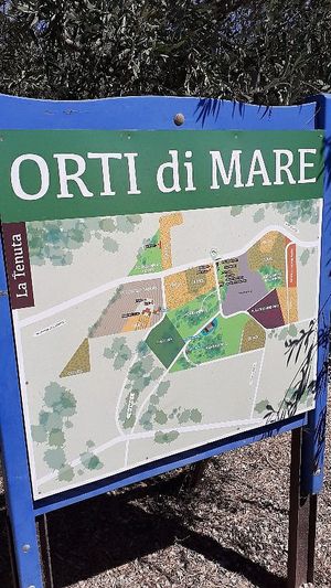 at Orti di Mare in Capoliveri
