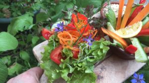 salad humus and veggie dippers  at Cafe Sketch in Cheddar