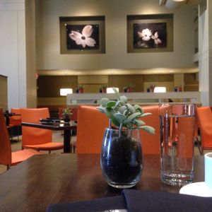 interior at Herban Fix Vegan Kitchen in Atlanta