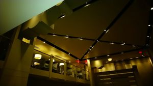 Ceiling design at Herban Fix Vegan Kitchen in Atlanta