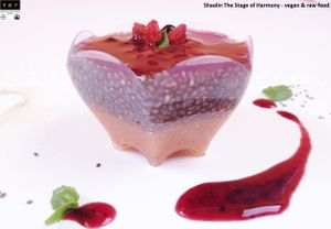 Shaolin State of Harmony - vegan & raw food 
RAW DESSERT: 'I FEEL VERY GOOD' at Shaolin State of Harmony in Milan