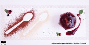 Shaolin State of Harmony - vegan & raw food 
RAW DESSERT: 'I FEEL VERY GOOD I' at Shaolin State of Harmony in Milan