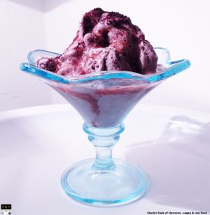Shaolin State of Harmony - vegan & raw food 
RAW ICE-CREAM: 'VIOLET ICE ENERGY' at Shaolin State of Harmony in Milan