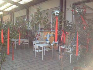 Shaolin State of Harmony - vegan & raw food 
DEHORS at Shaolin State of Harmony in Milan