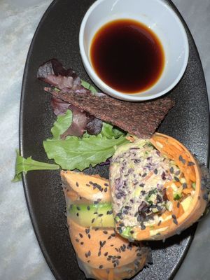 spring rolls  at Botanica Lab in Bologna