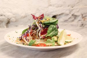  at Botanica Lab in Bologna