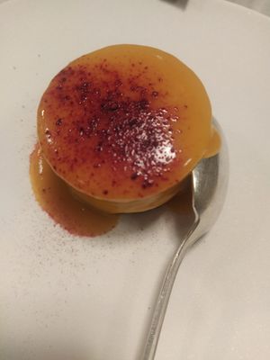 Cheesecake with Vanilla and Mango at Botanica Lab in Bologna