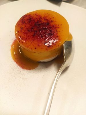 Cheescake mango and vanilla at Botanica Lab in Bologna