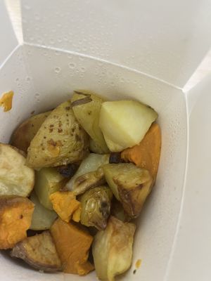   at Botanica Lab in Bologna