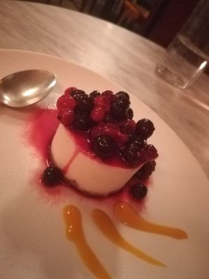 Cheesecake Vaniglia e Frutti di Bosco at Botanica Lab in Bologna