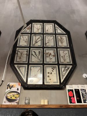   at Botanica Lab in Bologna