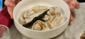  at Botanica Lab in Bologna