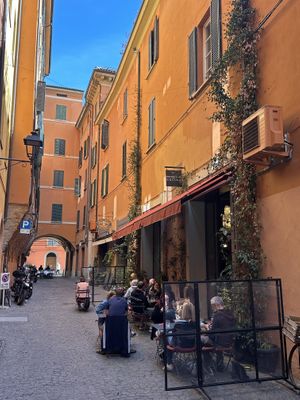 Terras  at Botanica Lab in Bologna