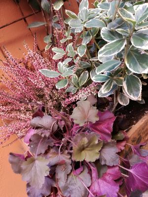 Outside at Botanica Lab in Bologna