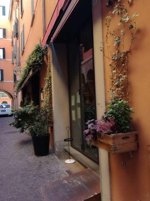 Beautiful at Botanica Lab in Bologna