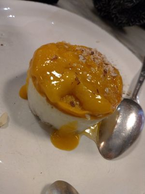 Mango cheesecake at Botanica Lab in Bologna