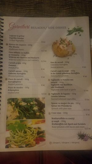 Sides at Hotel Sighisoara in Sighisoara