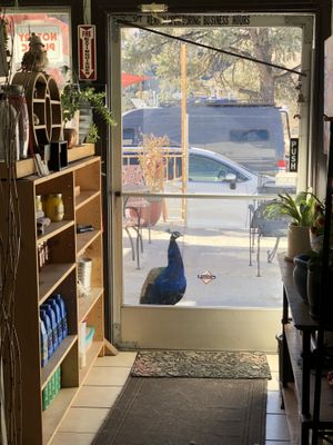 Everyone welcome  at The Red Dot Vegetarian Kitchen in Frazier Park