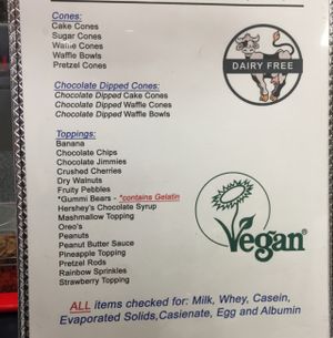 the vegan menu at Cool Scoops in North Wildwood