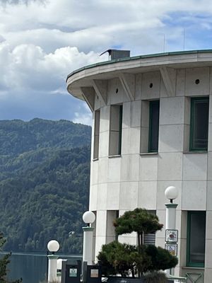 A real treat   at Public Bar & Vegan Kitchen in Bled