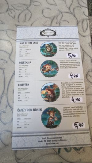  at Public Bar & Vegan Kitchen in Bled