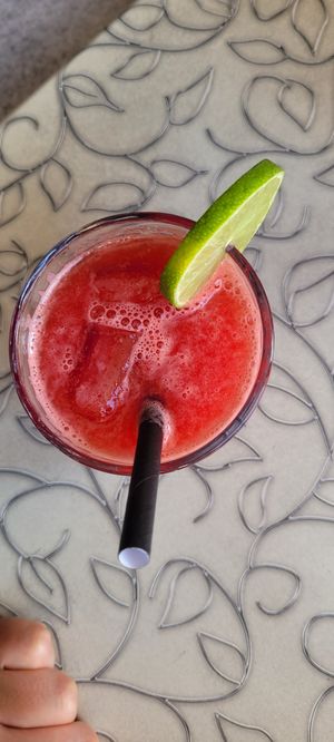  at Public Bar & Vegan Kitchen in Bled