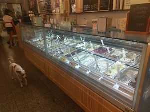 Many vegan options (usually 15-16) at Arte in Tel Aviv