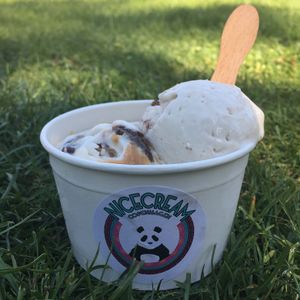 Coconut and Peanutbutter/Brownie  at Nicecream - Elmegade in Copenhagen