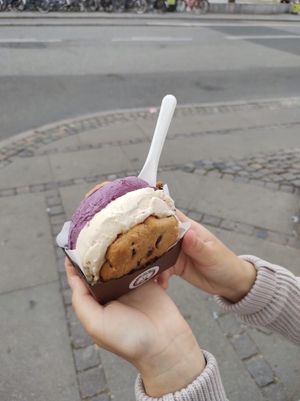 Cookie Sandwich with Sneaky Bizz and Blueberry Yum Yum at Nicecream - Elmegade in Copenhagen
