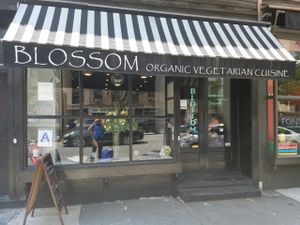 outside at Blossom Restaurant Chelsea in New York City