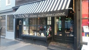 Outside at Blossom Restaurant Chelsea in New York City