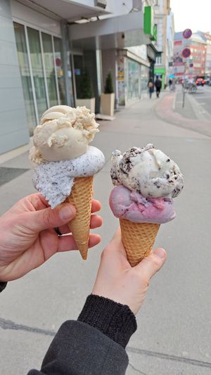  at Veganista Ice Cream II in Vienna