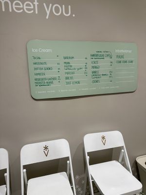   at Veganista Ice Cream II in Vienna