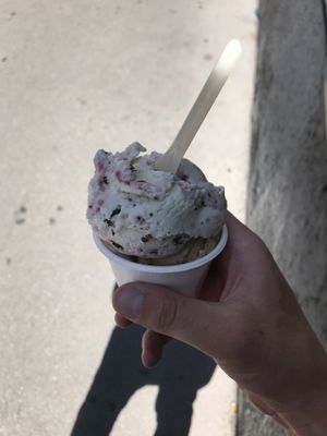 Black Forest and hazelnut  at Veganista Ice Cream II in Vienna