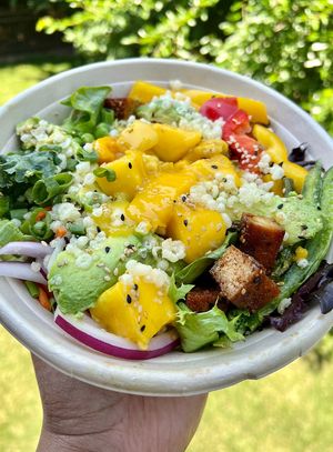 Tofu Thai Crunch salad bowl with mango added. Yum!  at Fusian - Miamisburg-Centerville Rd in Dayton