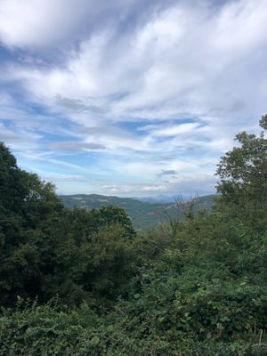 Lovely view. at Torre Morgana in Umbertide