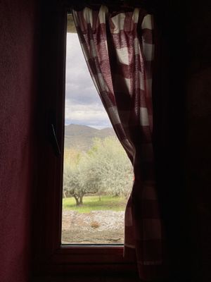   at Torre Morgana in Umbertide