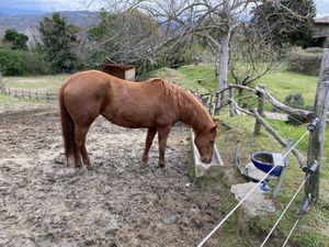   at Torre Morgana in Umbertide