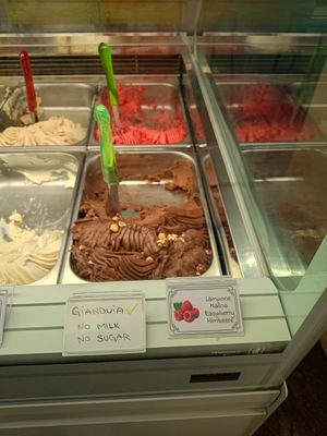 Green handle = vegan at Gelateria Italia in Rovinj