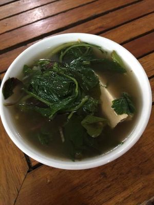 Soup (beet leaves) and tofu at Thien Y in Dong Hoi