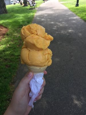 pumpkin flavor  at CJ's Big Dipper in Bar Harbor