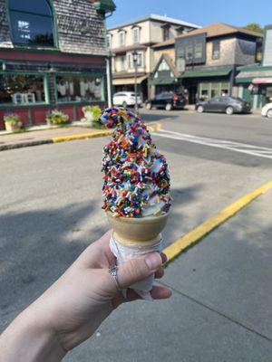 Vegan chocolate vanilla swirl!! at CJ's Big Dipper in Bar Harbor