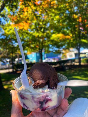 Blueberry and chocolate coconut   at CJ's Big Dipper in Bar Harbor